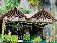 -西双版纳原始森林公园