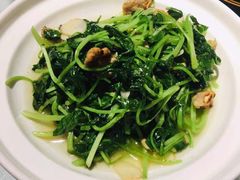 油渣鸡毛菜-孙记驴肉山庄(李桥店)