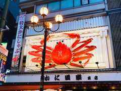 -蟹道乐(道顿堀本店)
