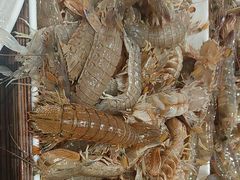 -渔民船说·北塘海鲜·天津菜·海肠捞饭(北塘古镇店)