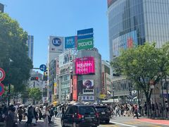 -涩谷全向十字路口