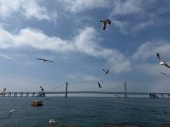 -鸭绿江海鲜烧烤大排档(杏林街店)