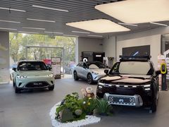-上海浦东smart汽车全功能店(金桥店)