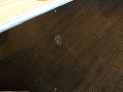 -必胜客(大悦城店)