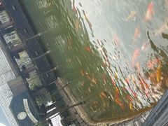 -东部华侨城