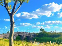 -嘉北郊野公园