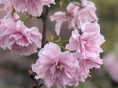 -茅草房·河畔园林火锅