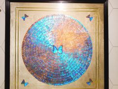 -上海昆虫博物馆