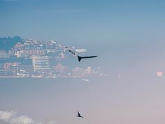 -海云台海滩