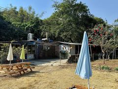 -丰依竹食·老牌竹筒饭