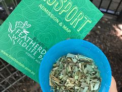 -费瑟代尔野生动物园