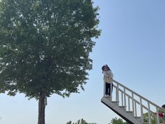 -武汉紫薇都市田园