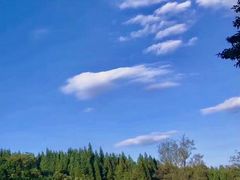 -武陵山森林公园