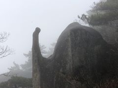 -天柱山风景区