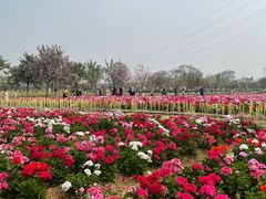 -盈香心动乐园