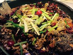 -老板恋上鱼(恒隆广场店)