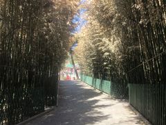 -红螺寺