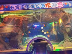 -石家庄海洋公园