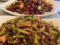 -陈麻婆豆腐总店