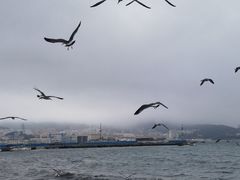 -幸福门
