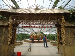 景点-观光南瓜园