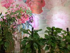 -峨嵋酒家(清河店)