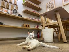 -正南齐北·老街糯米团(洪崖洞店)