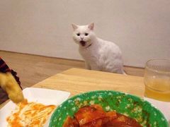 -必胜客(百联又一城店)