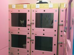 -全心全意连锁动物医院(石景山店)