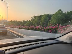 -阳澄湖半岛旅游度假区