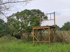 -长田漾湿地公园