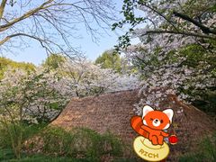 -中国茶叶博物馆(双峰馆区)