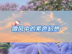 -龙头寺公园