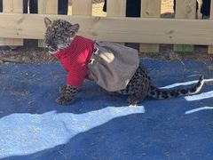 -鄂尔多斯野生动物园