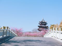 -上海海湾国家森林公园