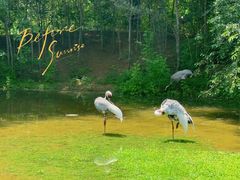 -北京野生动物园