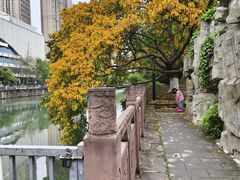 -成都市活水公园