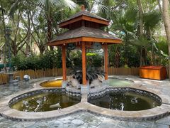 -碧水湾温泉