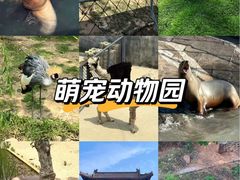 -西霞口神雕山野生动物世界