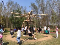 -黄海国家森林公园