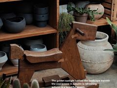 -自由生长植物工作室(深港花卉中心店)