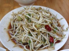 炒豆芽-三中高皇羊肉馆