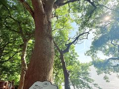 -外蒲山