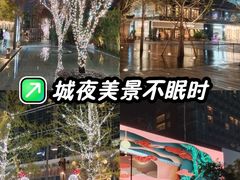 -成都IFS