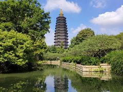 -红梅公园