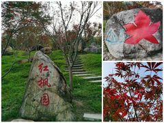-广州市帽峰山景区