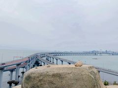 -星海湾跨海大桥