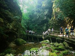 -牛背梁国家森林公园