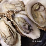 吃货日记：今天尝鲜生蚝