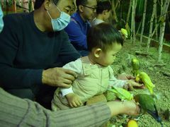 -萌宠奇缘